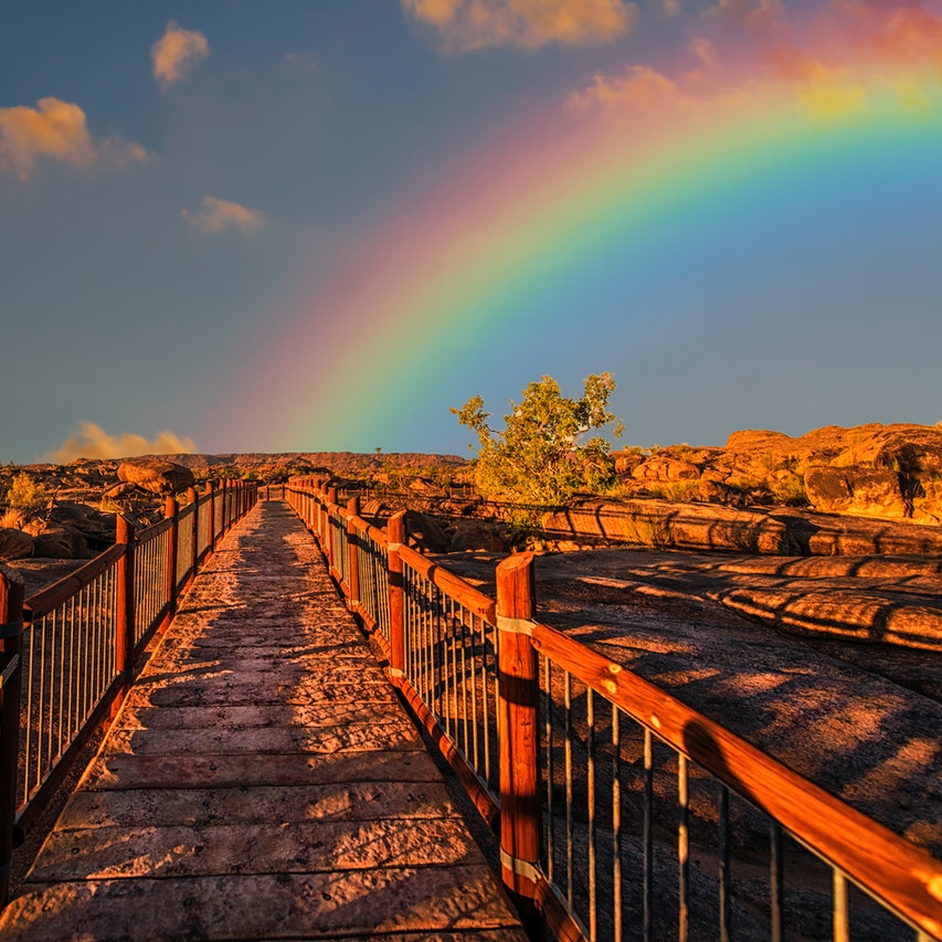 rainbow - strength to struggle